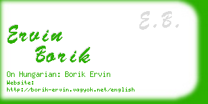 ervin borik business card